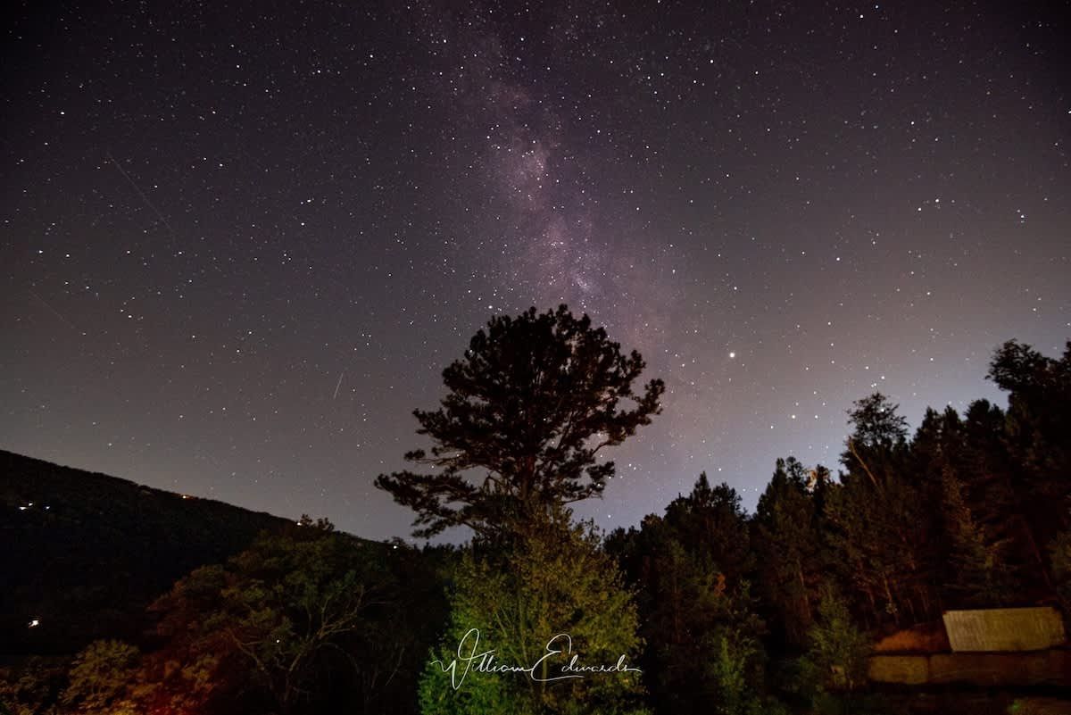 The Milky Way over the trees at night