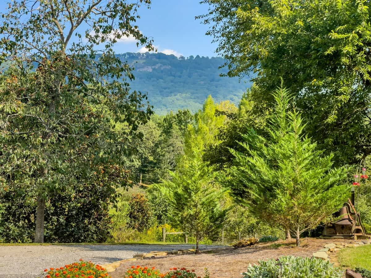 Lookout Mountain over the treetops